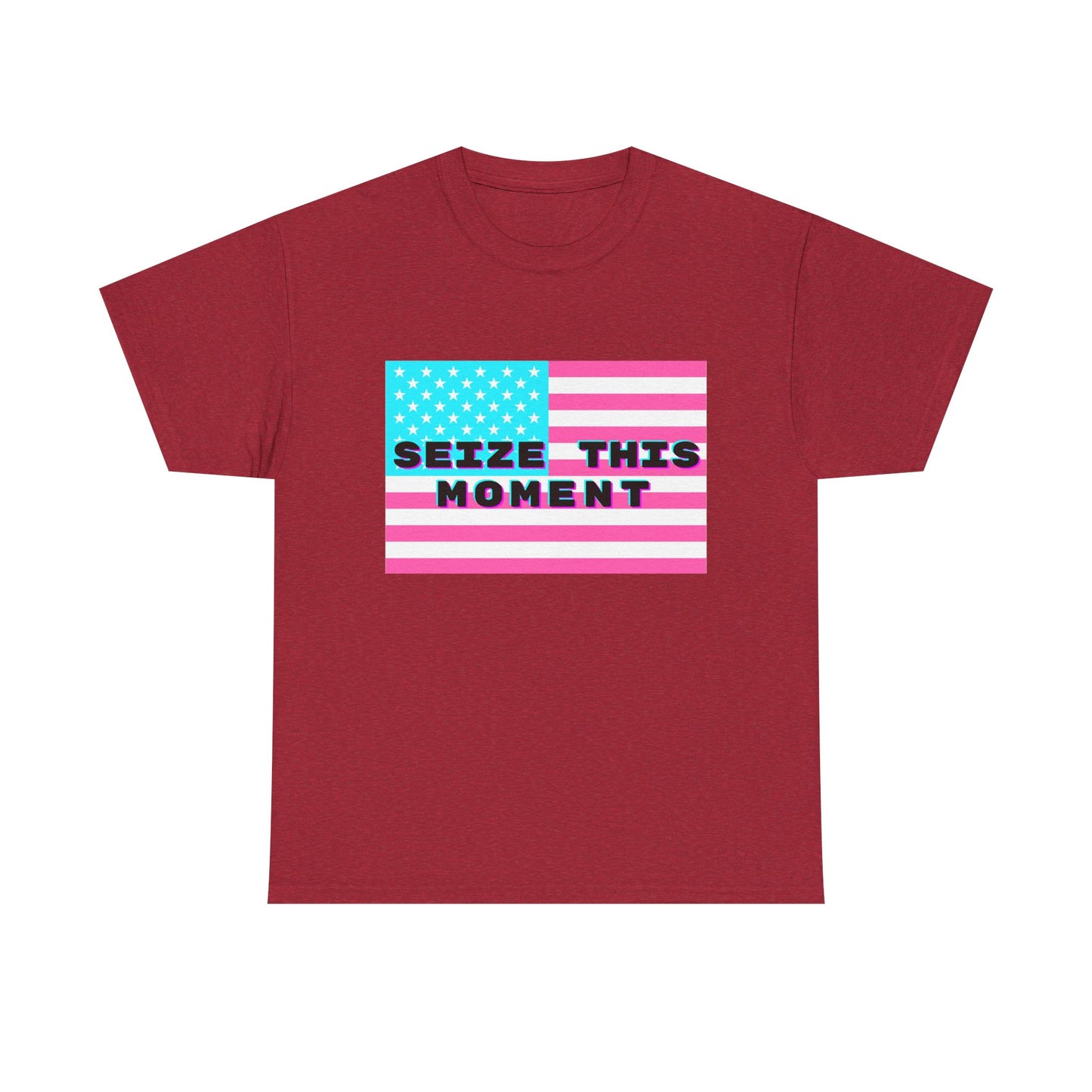 SEIZE THIS MOMENT : Unisex Heavy Cotton Tee