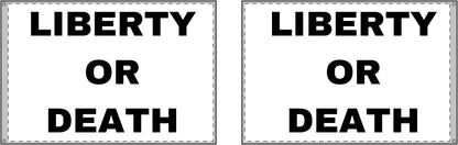 LIBERTY OR DEATH - Double Sided Flag