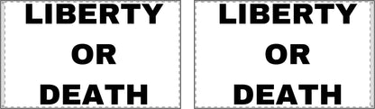 LIBERTY OR DEATH - Double Sided Flag